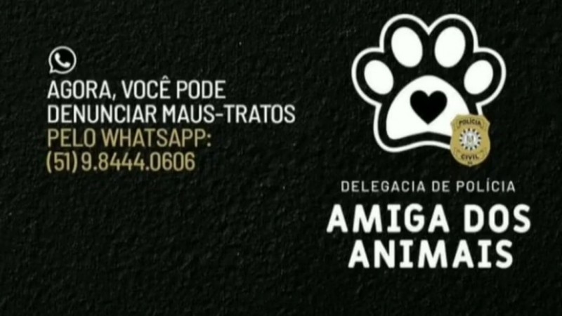 amiga dos animais