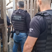 Operação Desarme V
