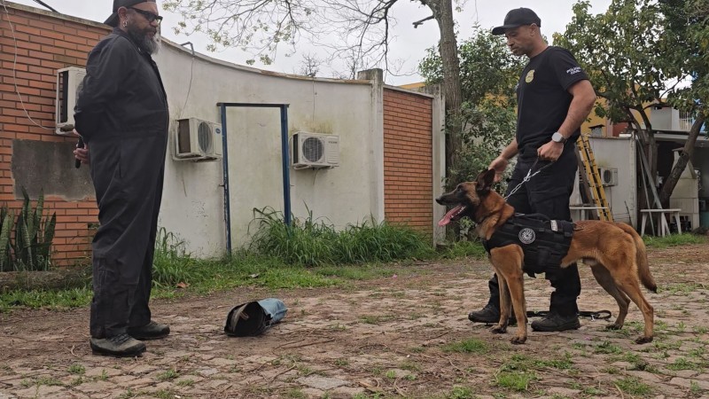 Dois homens em pé, em frente ao outro, com cão em pé postado lateralmente segurado por uma coleira em ambiente aberto, com muro ao fundo.