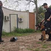 Dois homens em pé, em frente ao outro, com cão em pé postado lateralmente segurado por uma coleira em ambiente aberto, com muro ao fundo.