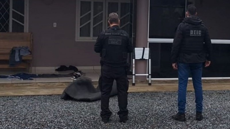 WhatsApp Image 2025 11 04 at 08 10 01