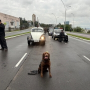 WhatsApp Image 2025 11 04 at 16 13 30