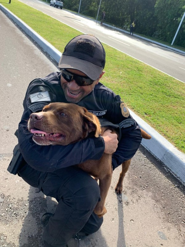 WhatsApp Image 2025 11 04 at 16 13 12