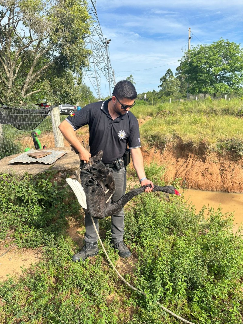 WhatsApp Image 2025 11 14 at 16 01 34 (1)