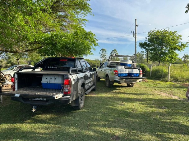 WhatsApp Image 2025 11 14 at 16 01 34