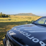 WhatsApp Image 2025 11 27 at 16 13 31