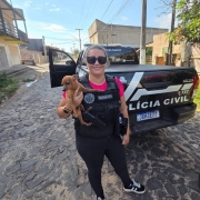 WhatsApp Image 2026 01 15 at 18 04 37