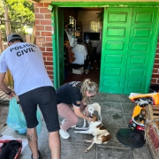 WhatsApp Image 2026 01 15 at 18 07 57 (1)