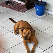 WhatsApp Image 2026 01 15 at 18 06 59