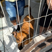 WhatsApp Image 2026 01 15 at 18 06 58