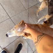 WhatsApp Image 2026 01 15 at 18 04 48