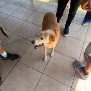 WhatsApp Image 2026 01 15 at 18 04 47 (1)