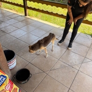 WhatsApp Image 2026 01 15 at 18 04 47