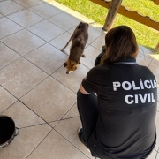 WhatsApp Image 2026 01 15 at 18 04 46 (1)