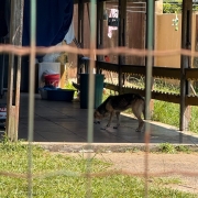 WhatsApp Image 2026 01 15 at 18 04 45 (1)