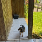 WhatsApp Image 2026 01 15 at 18 04 43 (1)