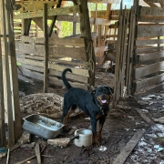 WhatsApp Image 2026 01 15 at 18 04 42 (1)