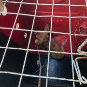 WhatsApp Image 2026 01 15 at 18 04 41