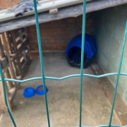 WhatsApp Image 2026 01 15 at 18 45 13 (1)