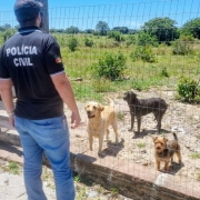 WhatsApp Image 2026 01 15 at 18 09 21