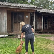 WhatsApp Image 2026 01 15 at 18 09 15