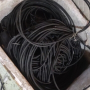 WhatsApp Image 2026 01 19 at 10 31 23