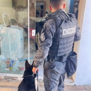 WhatsApp Image 2026 02 11 at 08 39 06 (1)