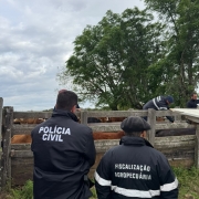 Policial civil e fiscal agropecu&aacute;rio parados de costas com casacos tendo as escritas das respectivas institucionais. Ao fundo, curral com alguns animais